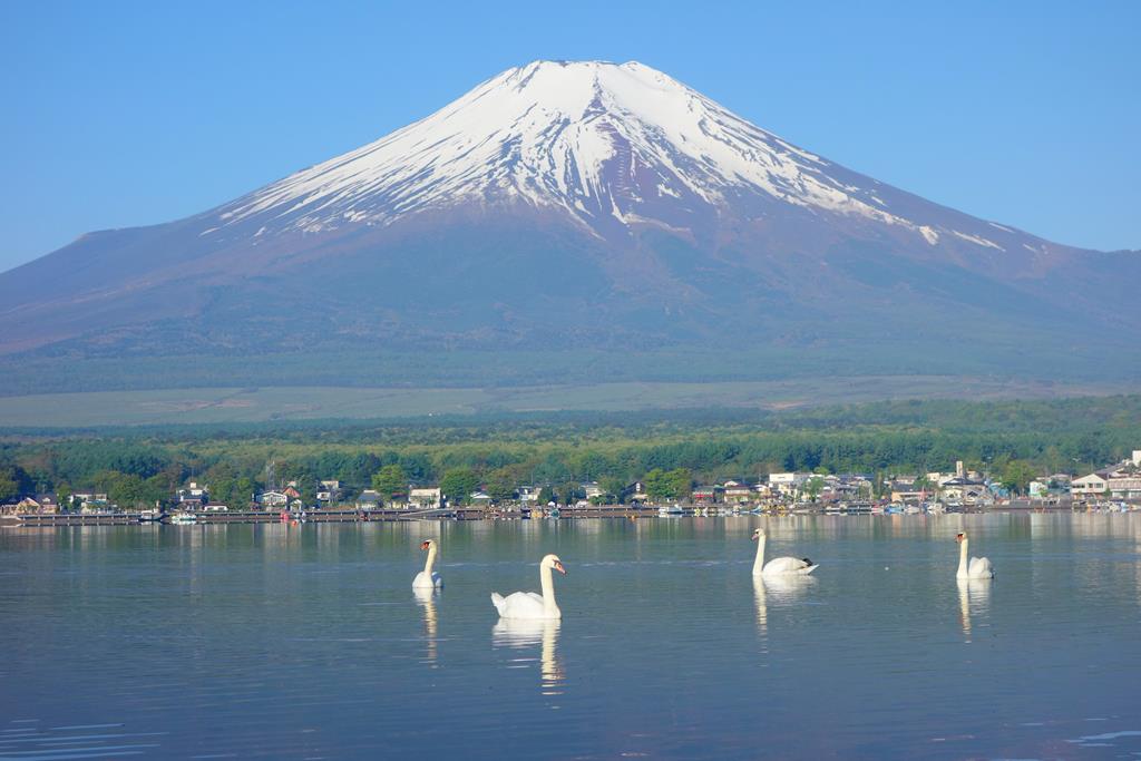 山中湖 Yamanakako