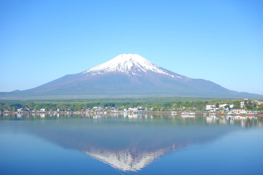 山中湖長池親水公園