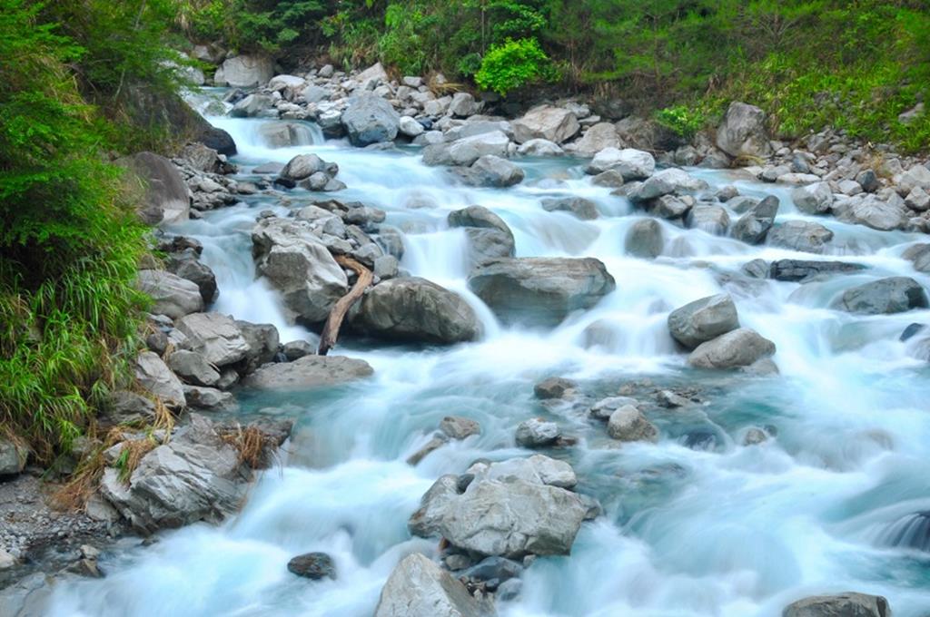 八仙山國家森林遊樂區