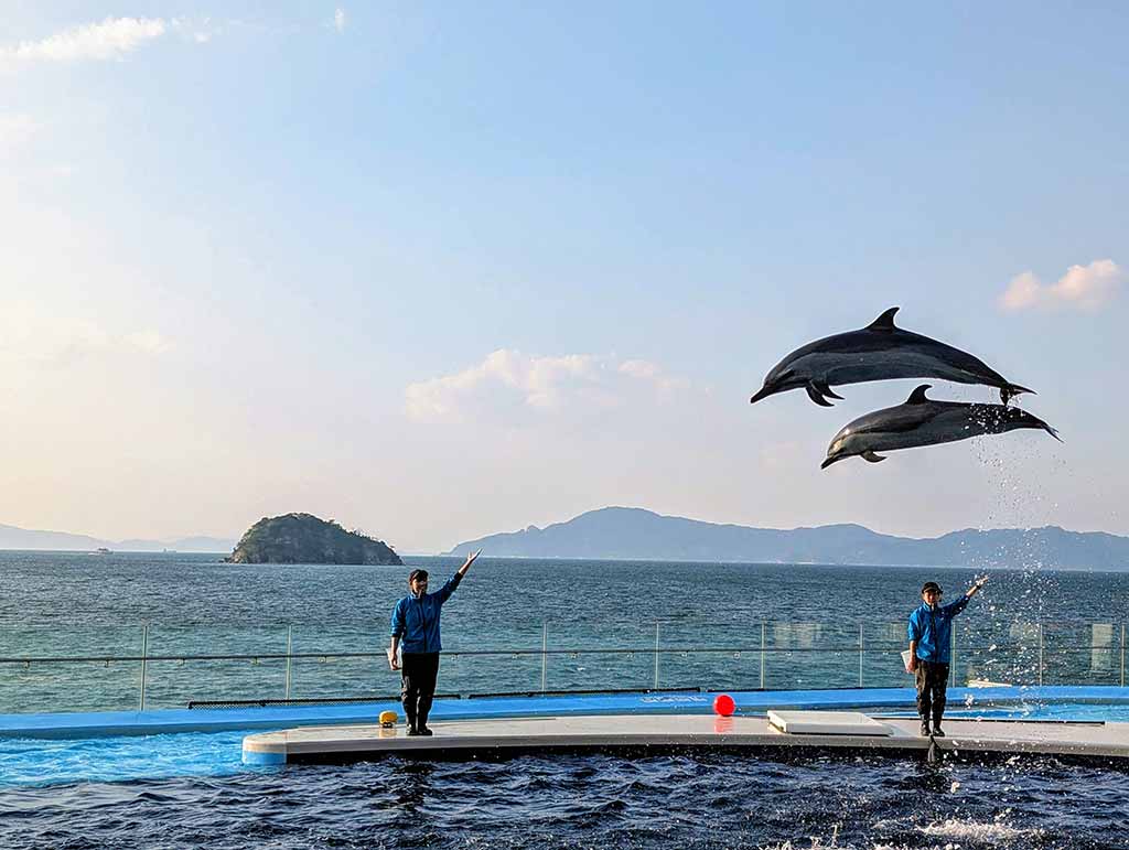 四國水族館